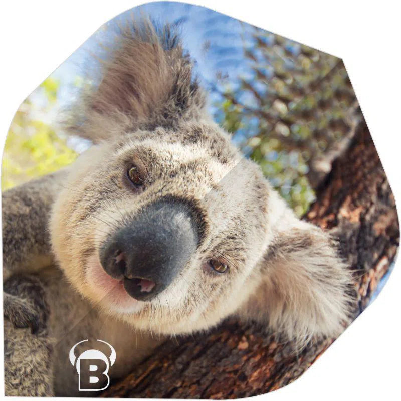 Bull's DE Motex Dart Flights  Koala
