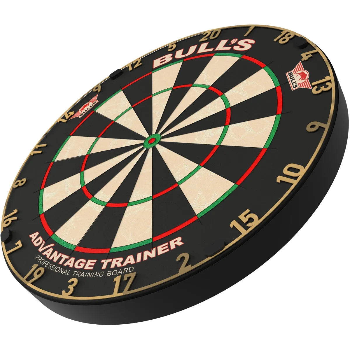 Bull's NL Gold Advantage Trainer Dartboard