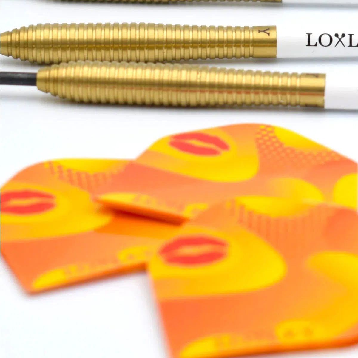 Loxley Christian Kist WC Edition 90% Tungsten Steel Tip Darts