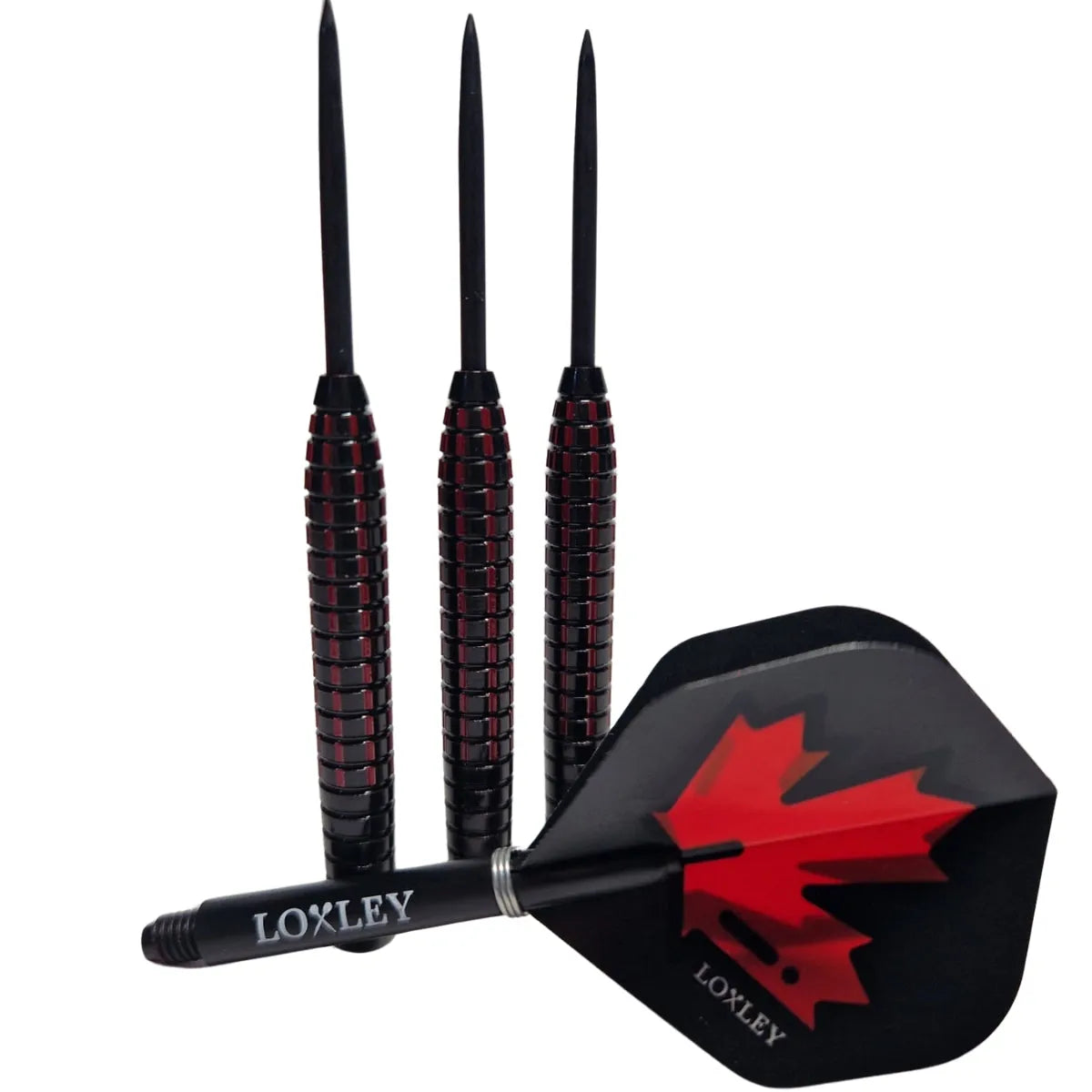 Loxley John Part 30th Anniversary Edition 95% Tungsten Steel Tip Darts