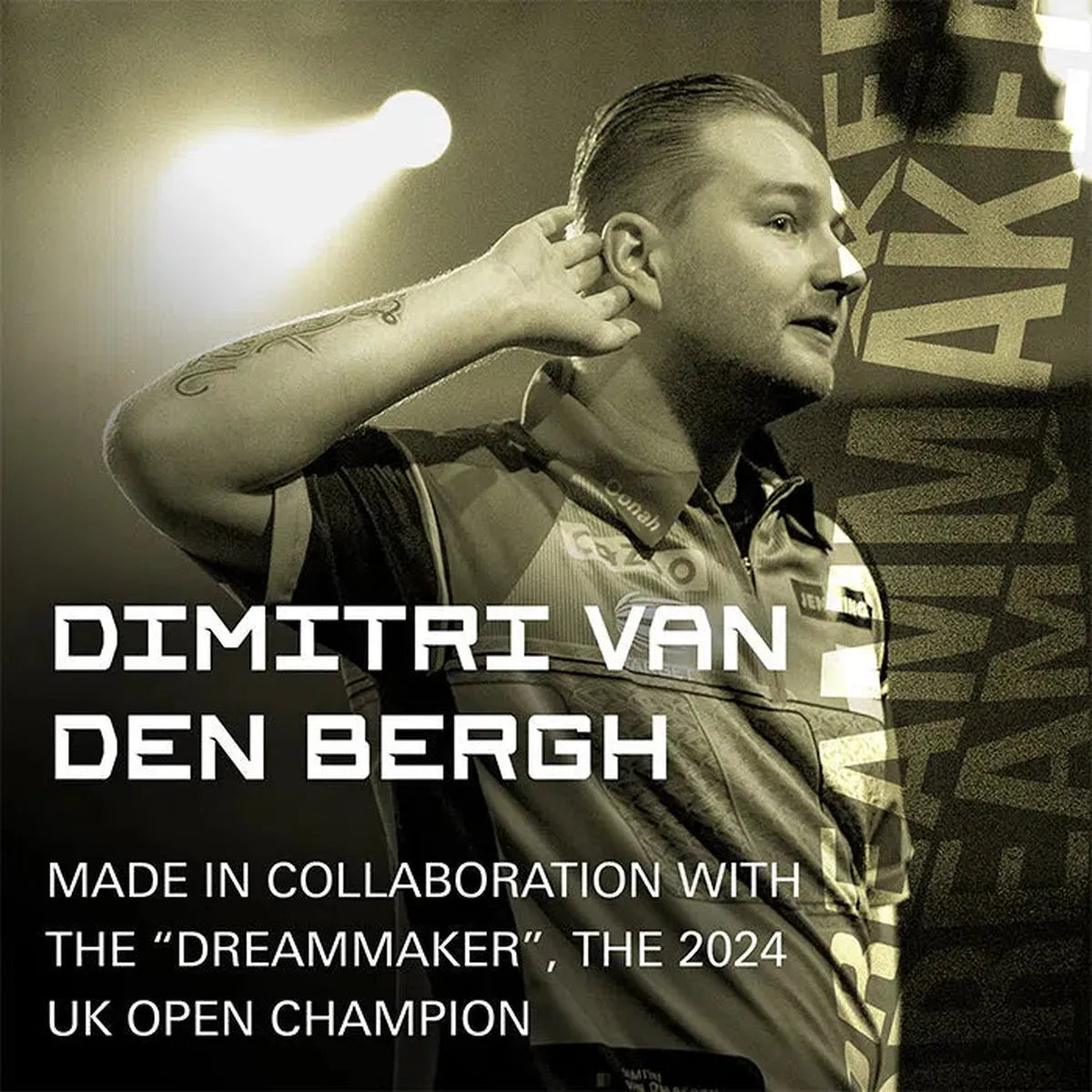 Target Darts Dimitri Van Den Bergh KFlex Flight System No2