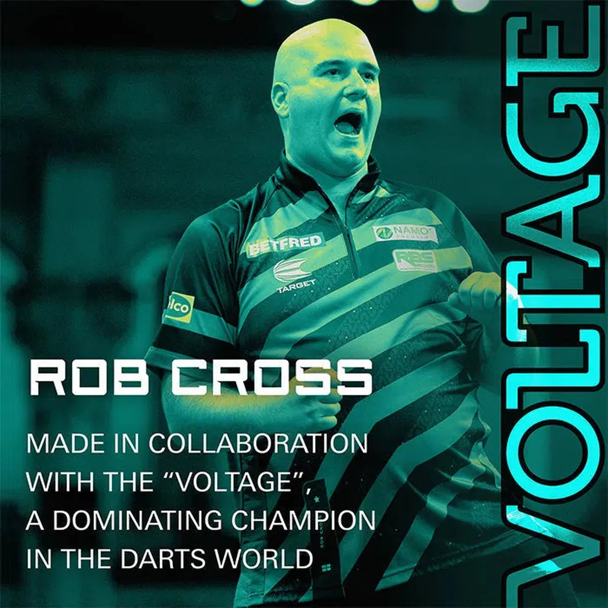 Target Darts Rob Cross KFlex Flight System No2