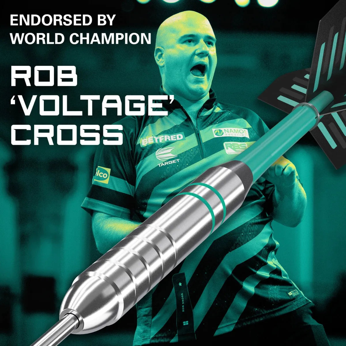 Target Darts Rob Cross Silver Voltage Brass Steel Tip Darts