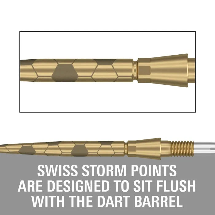 Target Darts Swiss Storm Onyx Dart Points