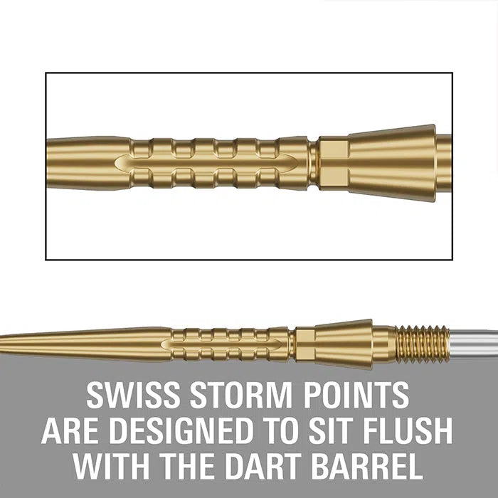 Target Darts Swiss Storm Surge Points
