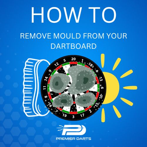 Illustration of a mouldy dartboard being cleaned by a brush, with a sun drying it.