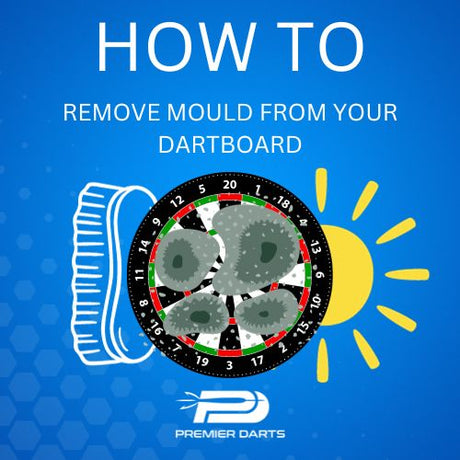 Illustration of a mouldy dartboard being cleaned by a brush, with a sun drying it.