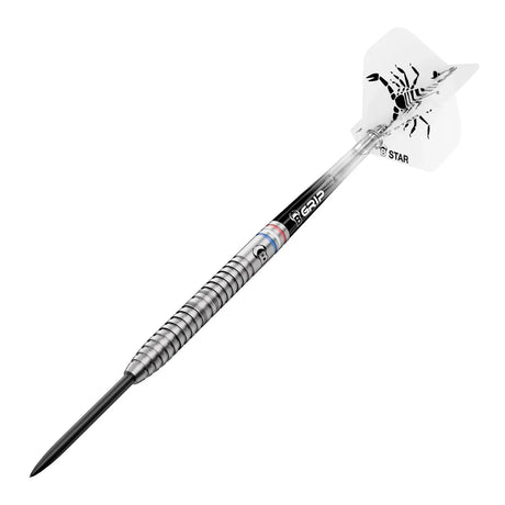 Bull's DE Challenger Kendji Steinbach 90% Tungsten Steel Tip Darts