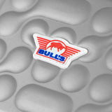 Bull's NL Morph Darts Case