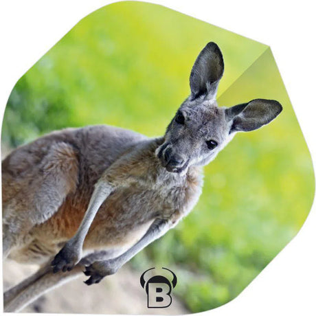 Bull's DE Motex Dart Flights - Kangaroo