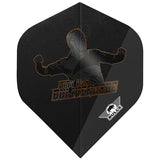 Bull's NL Dirk van Duijvenbode 90 E2 No2 Flights