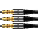 Bull's NL Massimo Dalla-Rosa 90% Tungsten Steel Tip Darts