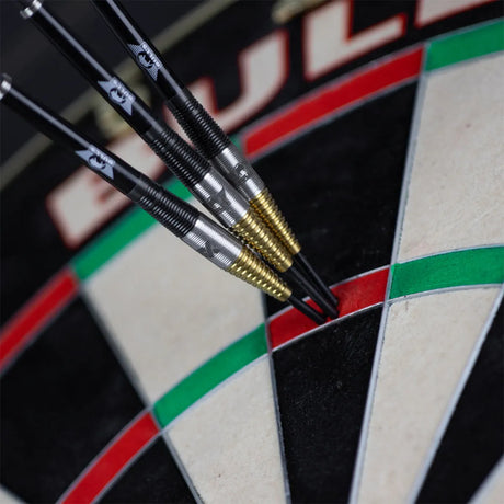 Bull's NL Massimo Dalla-Rosa 90% Tungsten Steel Tip Darts