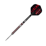 DataDart Martin Adams legend 95% Tungsten Steel Tip Darts