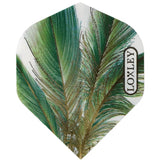 Loxley Gold Feather Flights No2