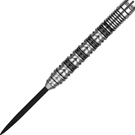 One80 Elmar Paulke V2 90% Tungsten Steel Tip Darts