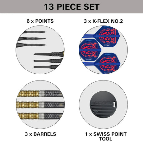 Target Darts Raymond Van Barneveld Gen6 95% Tungsten Soft Tip Darts