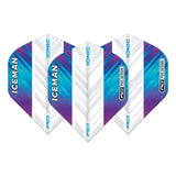 Red Dragon Hardcore Ionic Gerwyn Price Rainbow and White Standard Flights