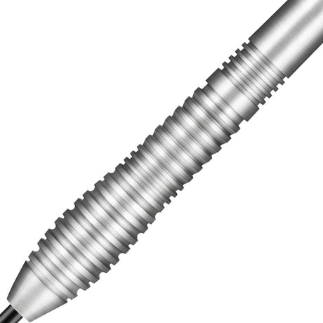 Shot Birds of Prey Kestrel 80% Tungsten Steel Tip Darts