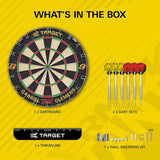 Target Darts Gabriel Clemens Dartboard Set