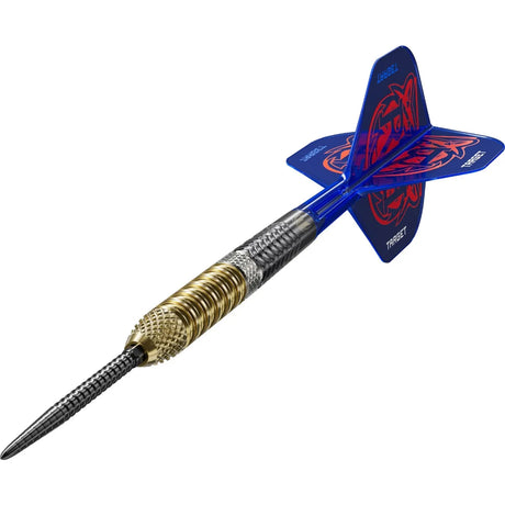 Target Darts Raymond Van Barneveld Gen6 95% Tungsten Steel Tip Darts
