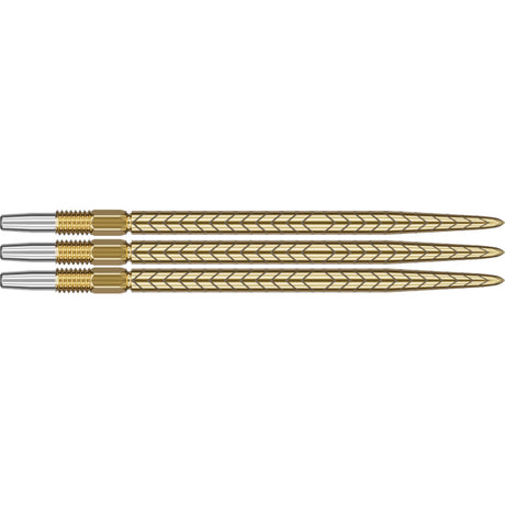 Target Darts Swiss RVE Points