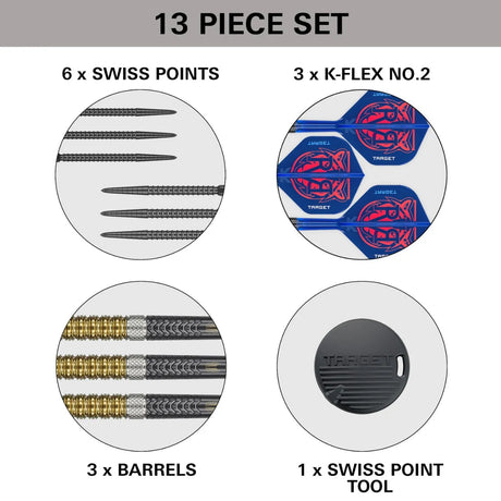 Target Darts Raymond Van Barneveld Gen6 95% Tungsten Steel Tip Darts