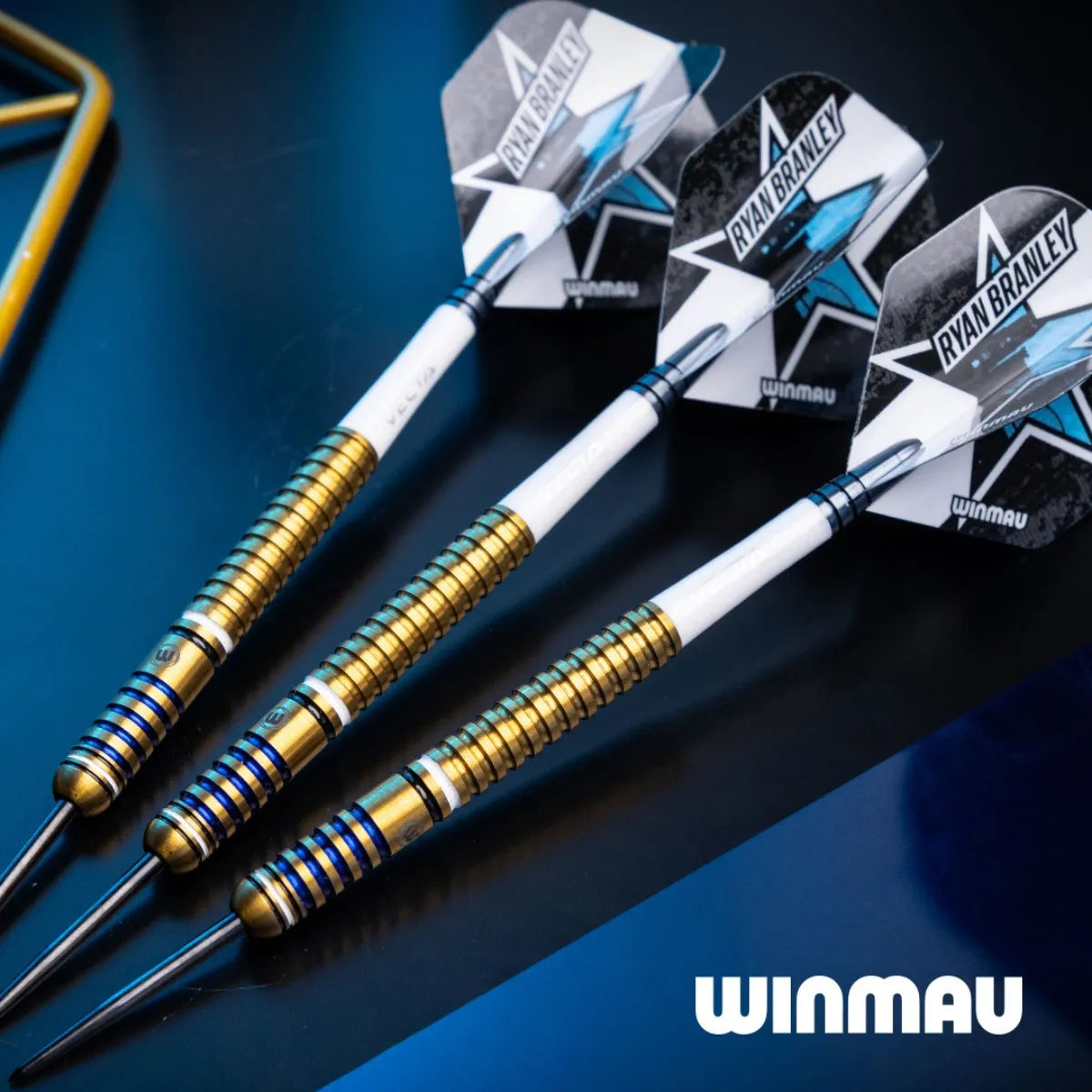 Winmau Ryan Branley 90% Tungsten Steel Tip Darts