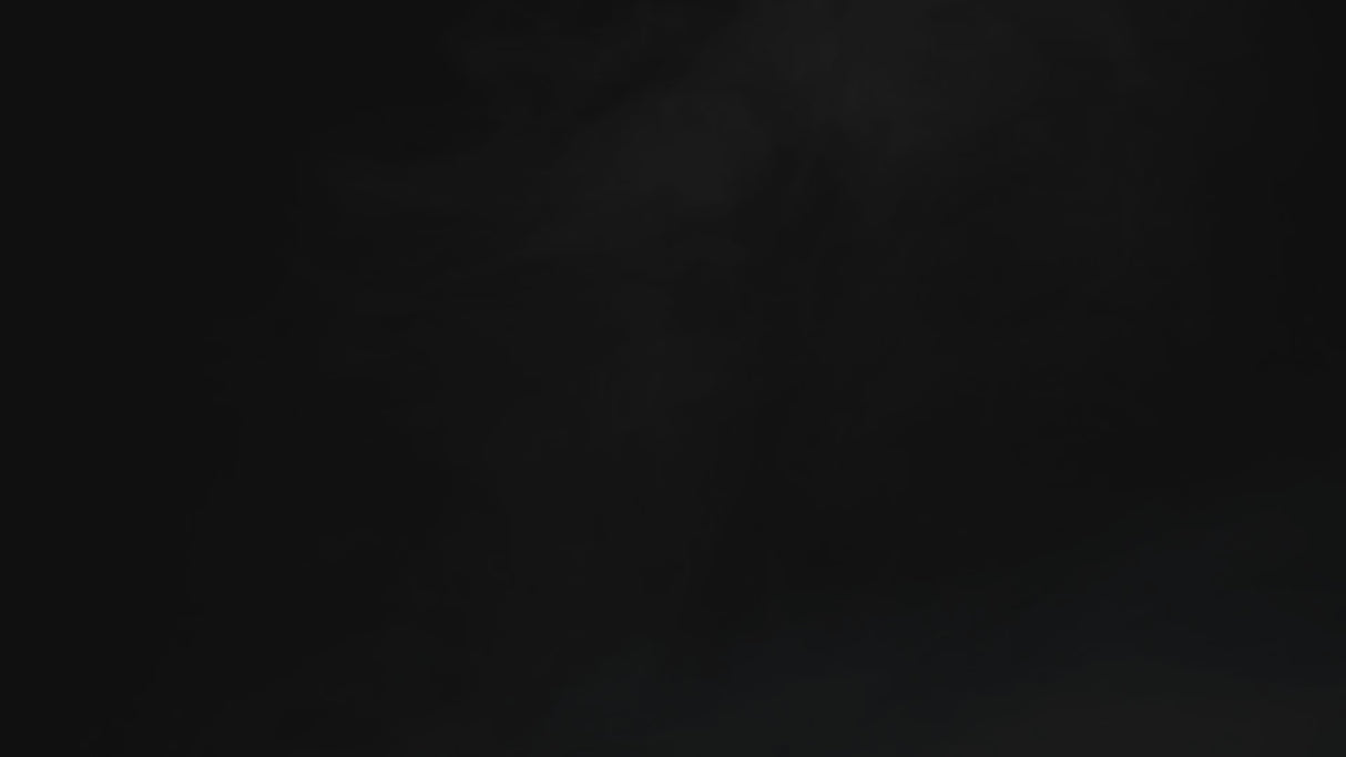 Red Dragon 50 Year Collection Grizzly 2 85% Tungsten Steel Tip Darts