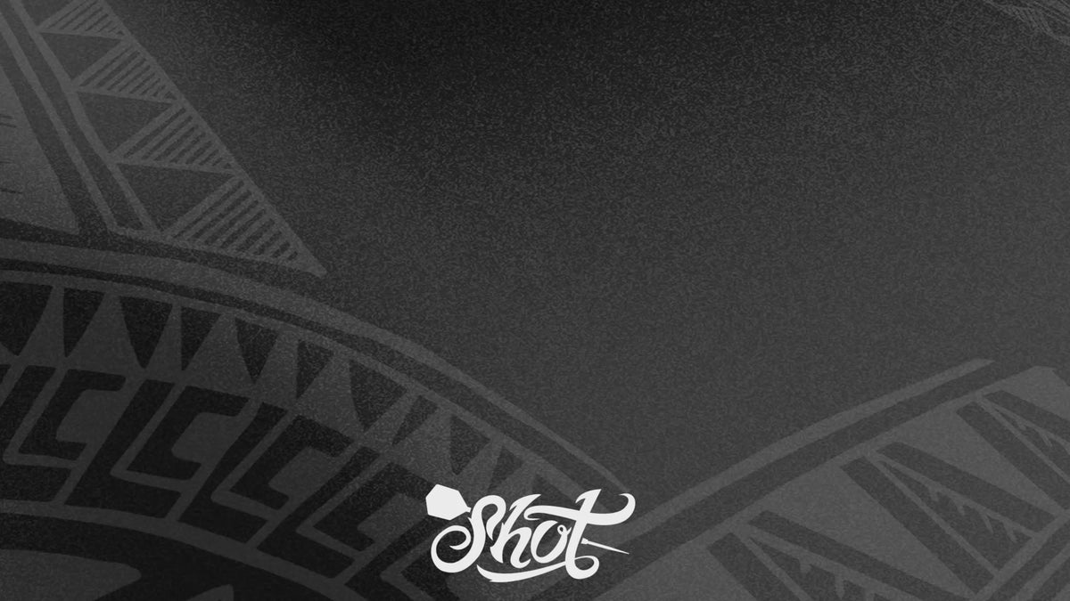 Shot Warrior Awe TP 90% Tungsten Steel Tip Darts