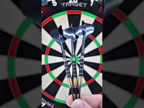 Reel Darts The One 90% Tungsten Darts